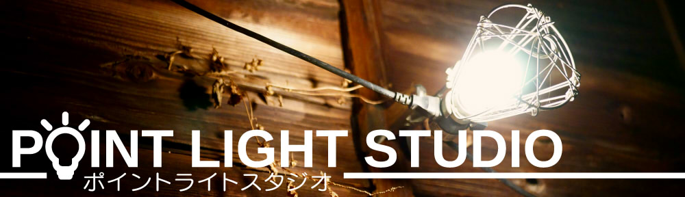 Point Light Studio